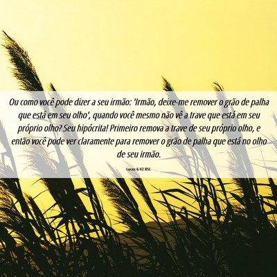 Picture 06 - Lucas 6:42 BSL - Ou como você pode dizer a seu irmão: 'Irmão, - Bible Verse Picture