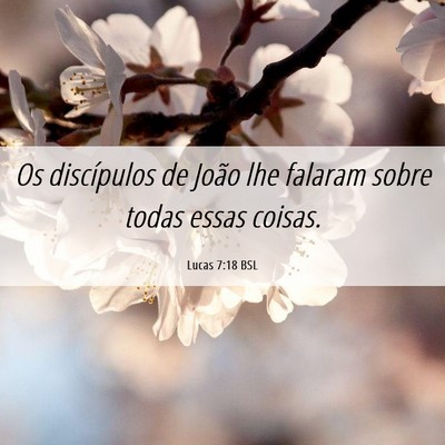 Picture 06 - Lucas 7:18 BSL - Os discípulos de João lhe falaram sobre todas - Bible Verse Picture