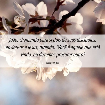 Picture 06 - Lucas 7:19 BSL - João, chamando para si dois de seus discípulos, - Bible Verse Picture