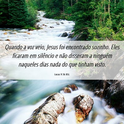 Picture 06 - Lucas 9:36 BSL - Quando a voz veio, Jesus foi encontrado sozinho. - Bible Verse Picture