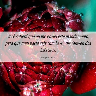 Picture 06 - Malaquias 2:4 BSL - Você saberá que eu lhe enviei este mandamento, - Bible Verse Picture