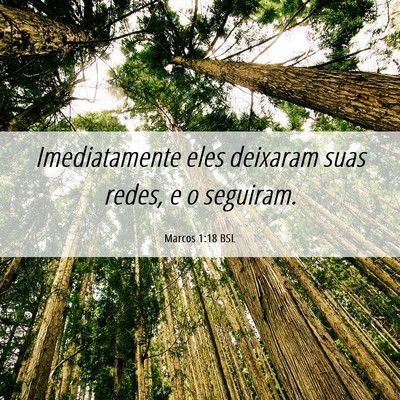 Picture 06 - Marcos 1:18 BSL - Imediatamente eles deixaram suas redes, e o - Bible Verse Picture