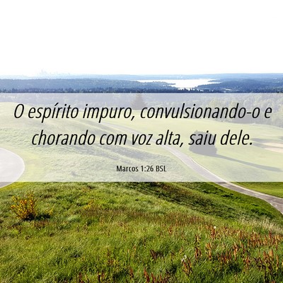 Picture 06 - Marcos 1:26 BSL - O espírito impuro, convulsionando-o e chorando - Bible Verse Picture