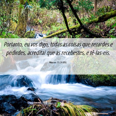 Picture 06 - Marcos 11:24 BSL - Portanto, eu vos digo, todas as coisas que - Bible Verse Picture