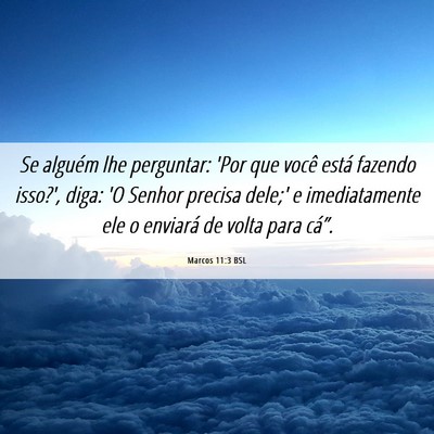 Picture 06 - Marcos 11:3 BSL - Se alguém lhe perguntar: 'Por que você está - Bible Verse Picture