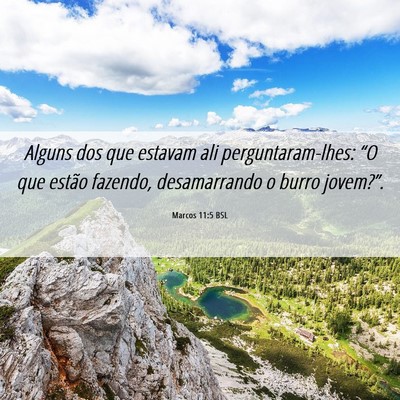 Picture 06 - Marcos 11:5 BSL - Alguns dos que estavam ali perguntaram-lhes: “O - Bible Verse Picture