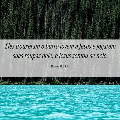 Picture 06 - Marcos 11:7 BSL - Eles trouxeram o burro jovem a Jesus e jogaram - Bible Verse Picture