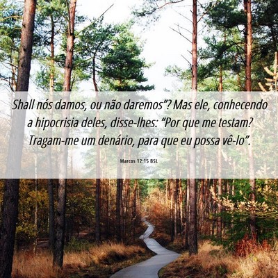 Picture 06 - Marcos 12:15 BSL - Shall nós damos, ou não daremos”? Mas ele, - Bible Verse Picture
