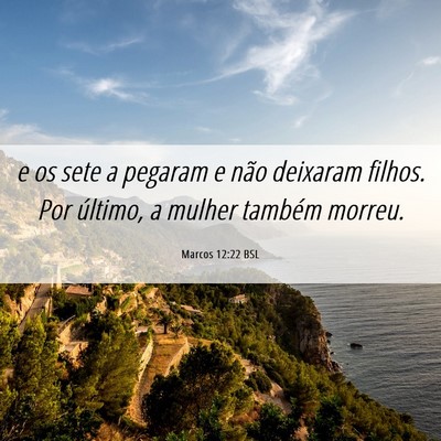 Picture 06 - Marcos 12:22 BSL - e os sete a pegaram e não deixaram filhos. Por - Bible Verse Picture