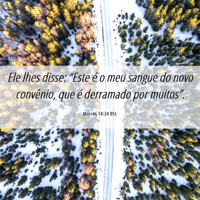 Picture 06 - Marcos 14:24 BSL - Ele lhes disse: “Este é o meu sangue do novo - Bible Verse Picture