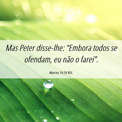 Picture 06 - Marcos 14:29 BSL - Mas Peter disse-lhe: “Embora todos se ofendam, - Bible Verse Picture