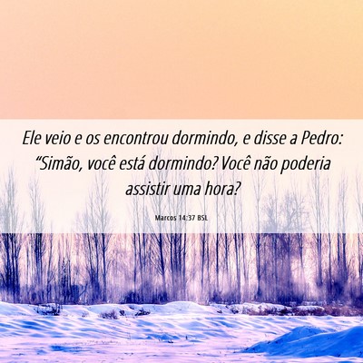 Picture 06 - Marcos 14:37 BSL - Ele veio e os encontrou dormindo, e disse a - Bible Verse Picture