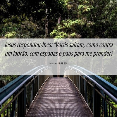 Picture 06 - Marcos 14:48 BSL - Jesus respondeu-lhes: “Vocês saíram, como - Bible Verse Picture