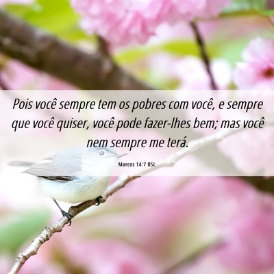 Picture 06 - Marcos 14:7 BSL - Pois você sempre tem os pobres com você, e - Bible Verse Picture