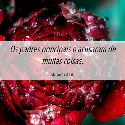 Picture 06 - Marcos 15:3 BSL - Os padres principais o acusaram de muitas - Bible Verse Picture