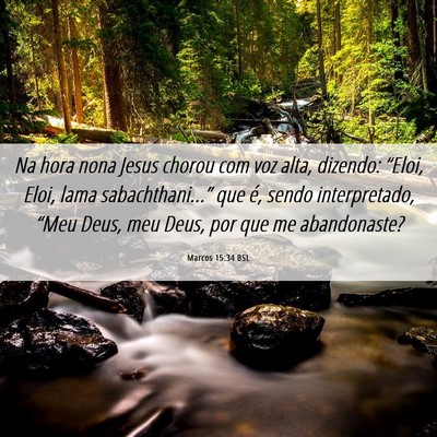 Picture 06 - Marcos 15:34 BSL - Na hora nona Jesus chorou com voz alta, dizendo: - Bible Verse Picture
