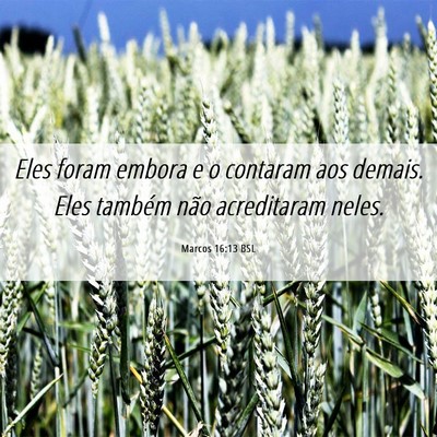 Picture 06 - Marcos 16:13 BSL - Eles foram embora e o contaram aos demais. Eles - Bible Verse Picture