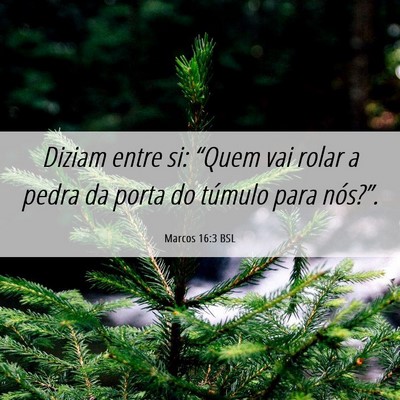 Picture 06 - Marcos 16:3 BSL - Diziam entre si: “Quem vai rolar a pedra da - Bible Verse Picture