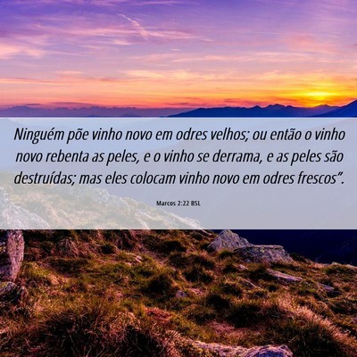 Picture 06 - Marcos 2:22 BSL - Ninguém põe vinho novo em odres velhos; ou - Bible Verse Picture