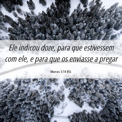 Picture 06 - Marcos 3:14 BSL - Ele indicou doze, para que estivessem com ele, e - Bible Verse Picture