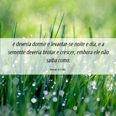 Picture 06 - Marcos 4:27 BSL - e deveria dormir e levantar-se noite e dia, e a - Bible Verse Picture