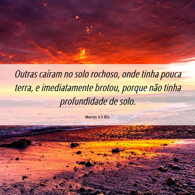 Picture 06 - Marcos 4:5 BSL - Outras caíram no solo rochoso, onde tinha pouca - Bible Verse Picture