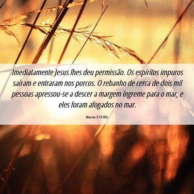 Picture 06 - Marcos 5:13 BSL - Imediatamente Jesus lhes deu permissão. Os - Bible Verse Picture