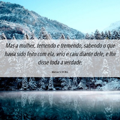 Picture 06 - Marcos 5:33 BSL - Mas a mulher, temendo e tremendo, sabendo o que - Bible Verse Picture
