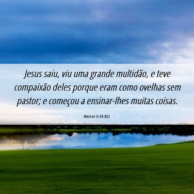 Picture 06 - Marcos 6:34 BSL - Jesus saiu, viu uma grande multidão, e teve - Bible Verse Picture