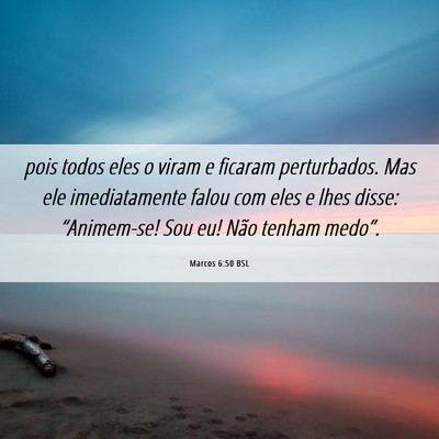 Picture 06 - Marcos 6:50 BSL - pois todos eles o viram e ficaram perturbados. - Bible Verse Picture