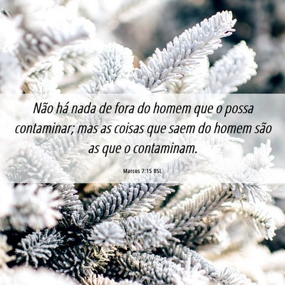 Picture 06 - Marcos 7:15 BSL - Não há nada de fora do homem que o possa - Bible Verse Picture