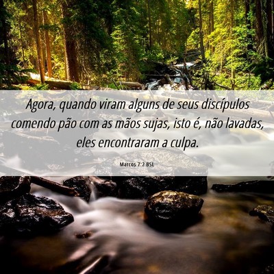Picture 06 - Marcos 7:2 BSL - Agora, quando viram alguns de seus discípulos - Bible Verse Picture
