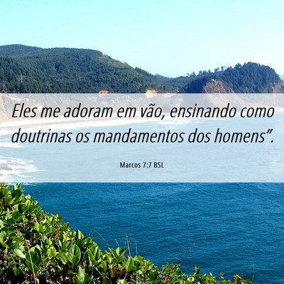 Picture 06 - Marcos 7:7 BSL - Eles me adoram em vão, ensinando como doutrinas - Bible Verse Picture
