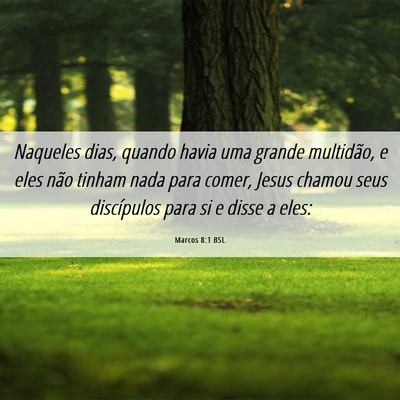 Picture 06 - Marcos 8:1 BSL - Naqueles dias, quando havia uma grande multidão, - Bible Verse Picture