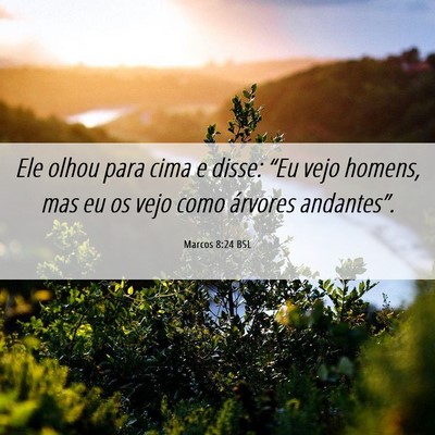 Picture 06 - Marcos 8:24 BSL - Ele olhou para cima e disse: “Eu vejo homens, - Bible Verse Picture
