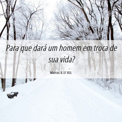 Picture 06 - Marcos 8:37 BSL - Para que dará um homem em troca de sua - Bible Verse Picture