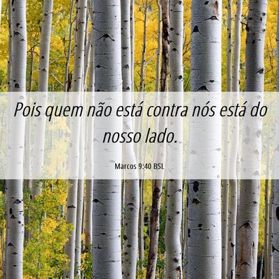 Picture 06 - Marcos 9:40 BSL - Pois quem não está contra nós está do nosso - Bible Verse Picture