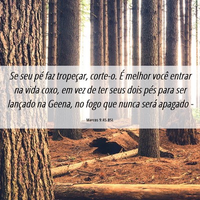 Picture 06 - Marcos 9:45 BSL - Se seu pé faz tropeçar, corte-o. É melhor - Bible Verse Picture
