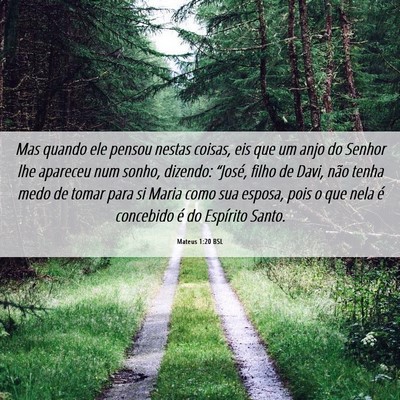 Picture 06 - Mateus 1:20 BSL - Mas quando ele pensou nestas coisas, eis que um - Bible Verse Picture