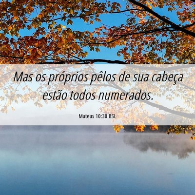 Picture 06 - Mateus 10:30 BSL - Mas os próprios pêlos de sua cabeça estão - Bible Verse Picture