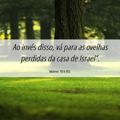 Picture 06 - Mateus 10:6 BSL - Ao invés disso, vá para as ovelhas perdidas da - Bible Verse Picture