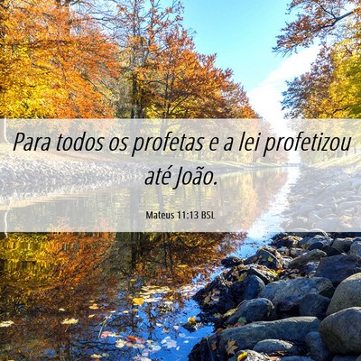 Picture 06 - Mateus 11:13 BSL - Para todos os profetas e a lei profetizou até - Bible Verse Picture