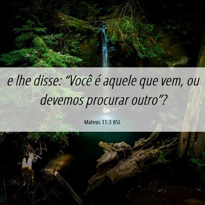 Picture 06 - Mateus 11:3 BSL - e lhe disse: “Você é aquele que vem, ou - Bible Verse Picture