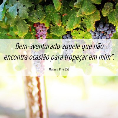 Picture 06 - Mateus 11:6 BSL - Bem-aventurado aquele que não encontra ocasião - Bible Verse Picture
