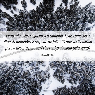 Picture 06 - Mateus 11:7 BSL - Enquanto estes seguiam seu caminho, Jesus - Bible Verse Picture