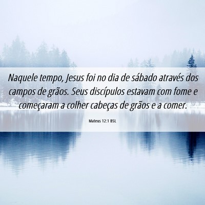 Picture 06 - Mateus 12:1 BSL - Naquele tempo, Jesus foi no dia de sábado - Bible Verse Picture