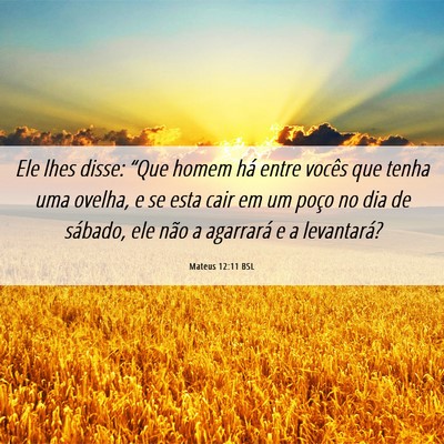 Picture 06 - Mateus 12:11 BSL - Ele lhes disse: “Que homem há entre vocês que - Bible Verse Picture