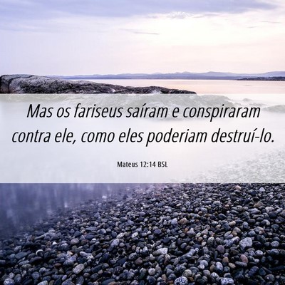 Picture 06 - Mateus 12:14 BSL - Mas os fariseus saíram e conspiraram contra ele, - Bible Verse Picture