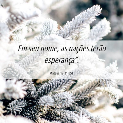 Picture 06 - Mateus 12:21 BSL - Em seu nome, as nações terão - Bible Verse Picture