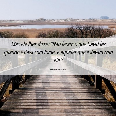 Picture 06 - Mateus 12:3 BSL - Mas ele lhes disse: “Não leram o que David fez - Bible Verse Picture